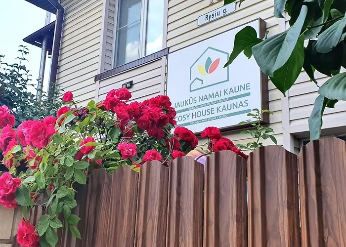 Savas 2 In And Parking Butas